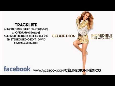 Download mp3 celine dion the power of love